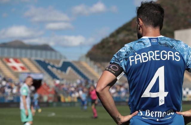 都将起到放 都将起到放