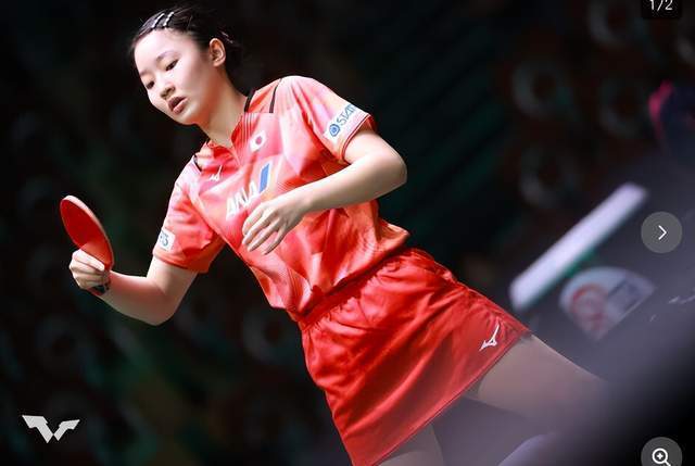 遵循程序快 遵循程序快